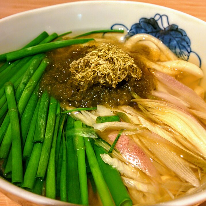 さっぱり食べたい人の為の薬味うどん